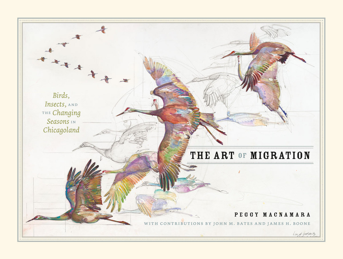 The Art of Migration: Birds, Insects, and the Changing Seasons in Chicagoland John Bates, James H. Boone, David Willard and Peggy Macnamara