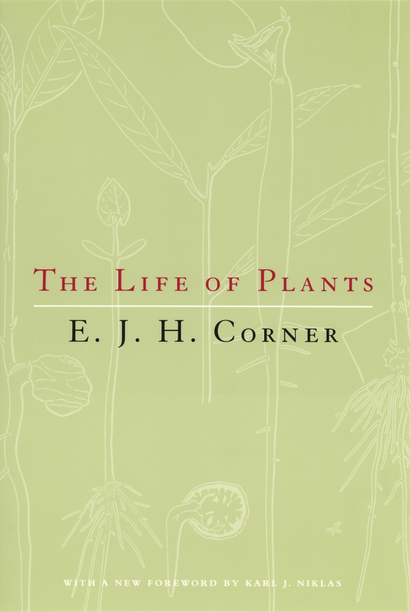 cover of book