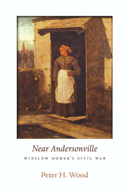 Andersonville Book