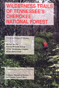 thumbnail of book