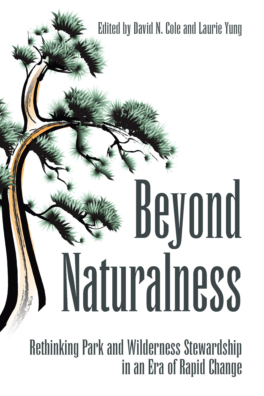 cover of book