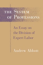 cover of The System of Professions: An Essay on the Division of Expert Labor