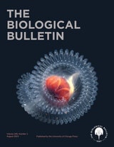 cover of The Biological Bulletin, volume 245 number 1 (August 2023)