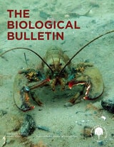 cover of The Biological Bulletin, volume 245 number 2 (October 2023)