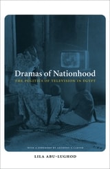 cover of Dramas of Nationhood: The Politics of Television in Egypt