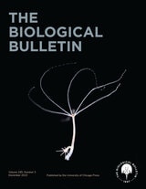 cover of The Biological Bulletin, volume 245 number 3 (December 2023)