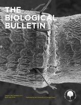 cover of The Biological Bulletin, volume 246 number 2-3 (April 2024)