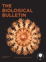 cover of The Biological Bulletin, volume 247 number 1 (August 2024)