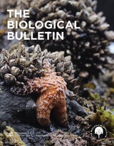 cover of The Biological Bulletin, volume 247 number 2-3 (October 2024)