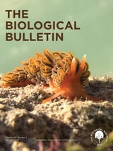 cover of The Biological Bulletin, volume 248 number 1 (February 2025)