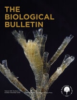 cover of The Biological Bulletin, volume 249 number 2-3 (October 2025)