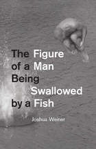 cover of The Figure of a Man Being Swallowed by a Fish