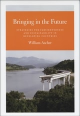 cover of Bringing in the Future: Strategies for Farsightedness and Sustainability in Developing Countries