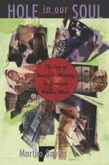 cover of Hole in Our Soul: The Loss of Beauty and Meaning in American Popular Music