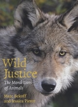 cover of Wild Justice: The Moral Lives of Animals