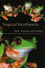 cover of Tropical Rainforests: Past, Present, and Future