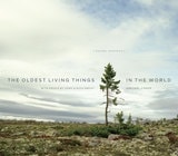 cover of The Oldest Living Things in the World