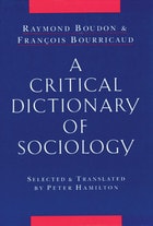 cover of A Critical Dictionary of Sociology