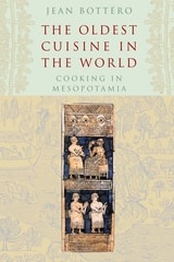 cover of The Oldest Cuisine in the World: Cooking in Mesopotamia