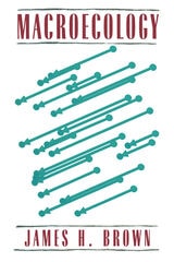 cover of Macroecology