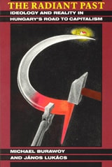 cover of The Radiant Past: Ideology and Reality in Hungary's Road to Capitalism