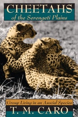 cover of Cheetahs of the Serengeti Plains: Group Living in an Asocial Species