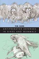 cover of Antipredator Defenses in Birds and Mammals