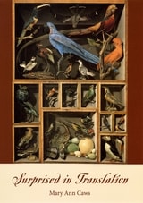cover of Surprised in Translation