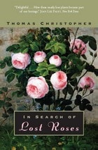 cover of In Search of Lost Roses