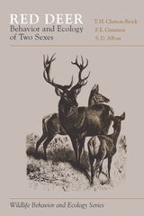 cover of Red Deer: Behavior and Ecology of Two Sexes