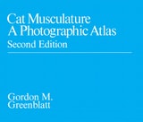 cover of Cat Musculature: A Photographic Atlas