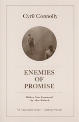 cover of Enemies of Promise