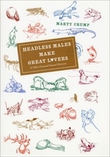 cover of Headless Males Make Great Lovers: And Other Unusual Natural Histories