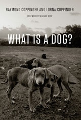cover of What Is a Dog?