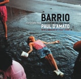 cover of Barrio: Photographs from Chicago's Pilsen and Little Village