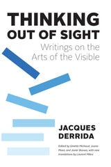 cover of Thinking Out of Sight: Writings on the Arts of the Visible