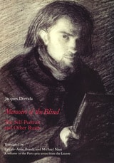 cover of Memoirs of the Blind: The Self-Portrait and Other Ruins