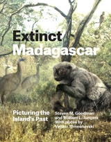 cover of Extinct Madagascar: Picturing the Island's Past