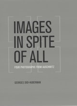 cover of Images in Spite of All: Four Photographs from Auschwitz