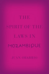 cover of The Spirit of the Laws in Mozambique