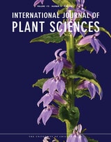 cover of IJPS vol 175 num 4