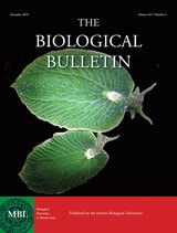 cover of BBL vol 231 num 3