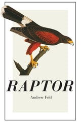 cover of Raptor