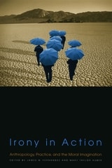 cover of Irony in Action: Anthropology, Practice, and the Moral Imagination