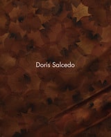cover of Doris Salcedo