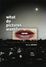 cover of What Do Pictures Want?: The Lives and Loves of Images
