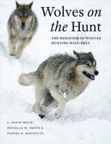 cover of Wolves on the Hunt: The Behavior of Wolves Hunting Wild Prey