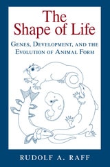 cover of The Shape of Life: Genes, Development, and the Evolution of Animal Form