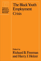 cover of The Black Youth Employment Crisis