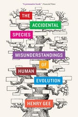 cover of The Accidental Species: Misunderstandings of Human Evolution